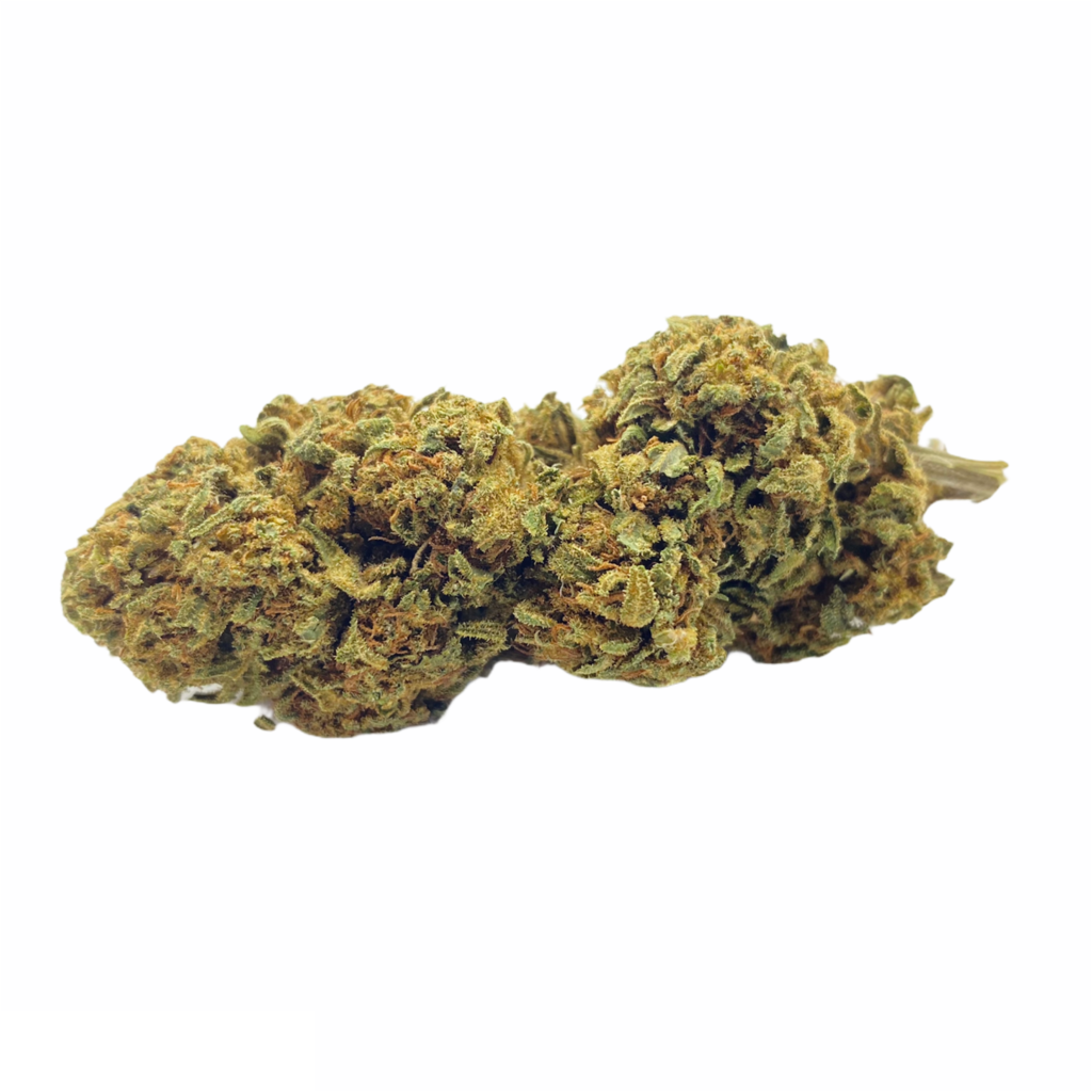 Ganja Queen Skywalker Cannabis Product & Shop Shop online N°1 di